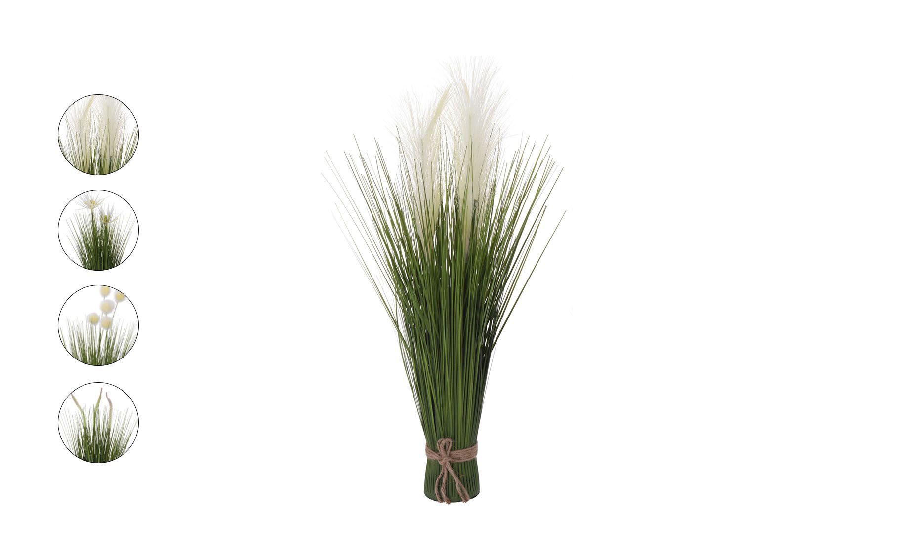 Biljka u saksiji Grass 60cm više vrsta Emmezeta webshop