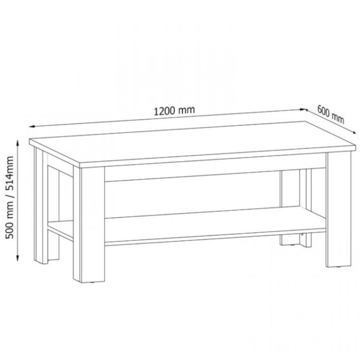 Provence klub sto 1 polica 120x60x50 belo/tamni hrast