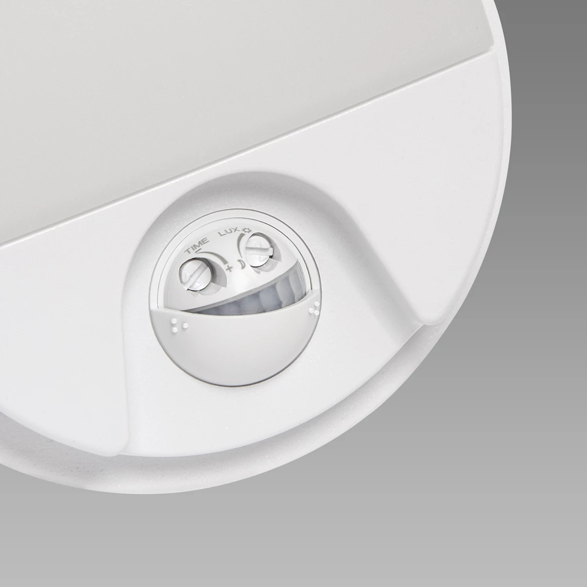 Zidna lampa Pedro LED 12x21cm