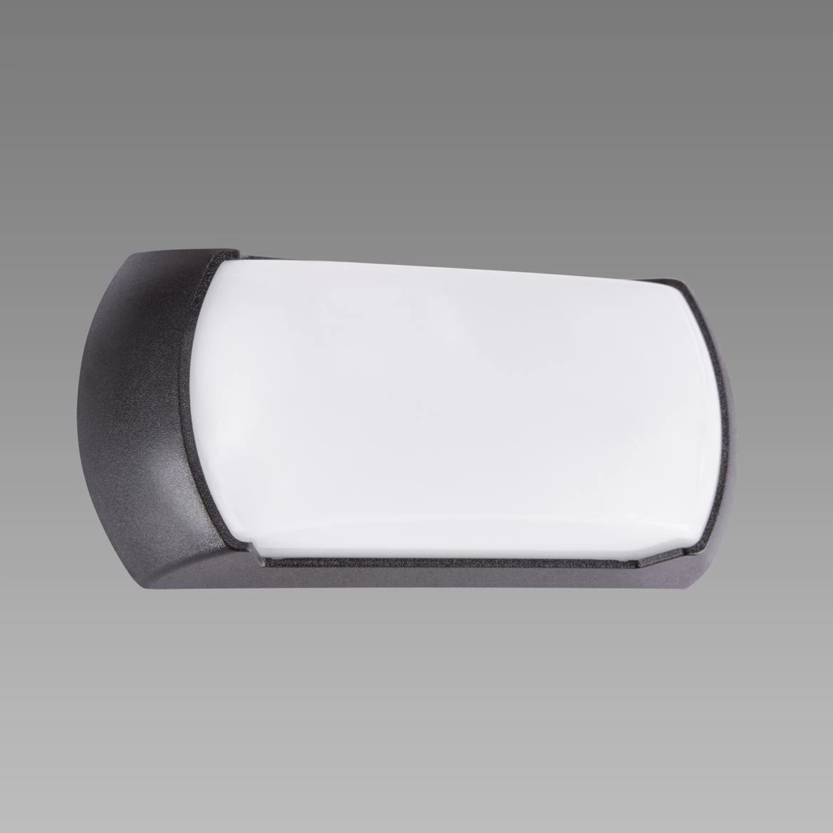 Spoljna zidna lampa Enduro II LED crna