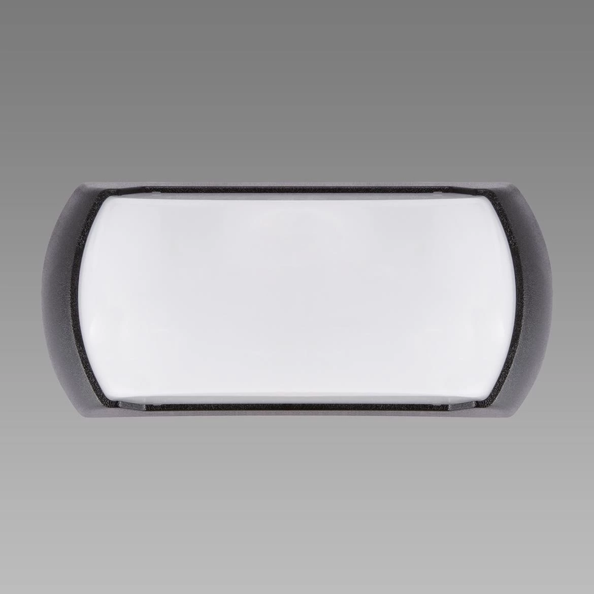 Spoljna zidna lampa Enduro II LED crna