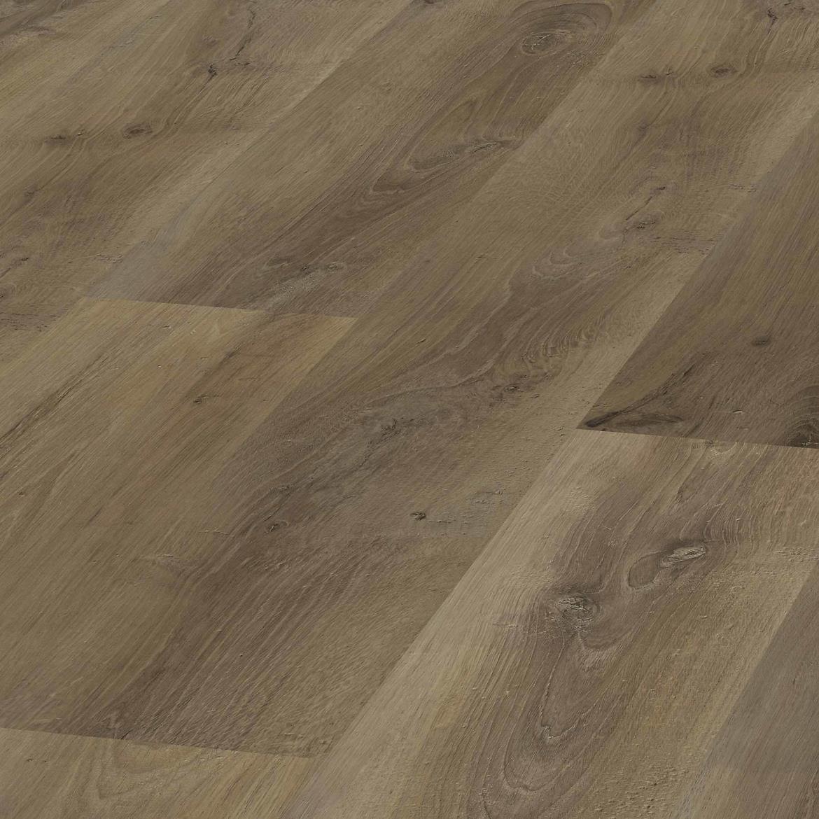 Laminat Moravia Oak 8mm AC4 Domus 2590