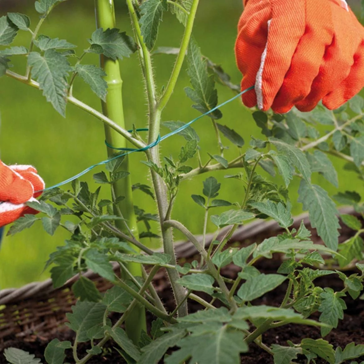 Baštenska žica sa sekacem 50m TYD1X50