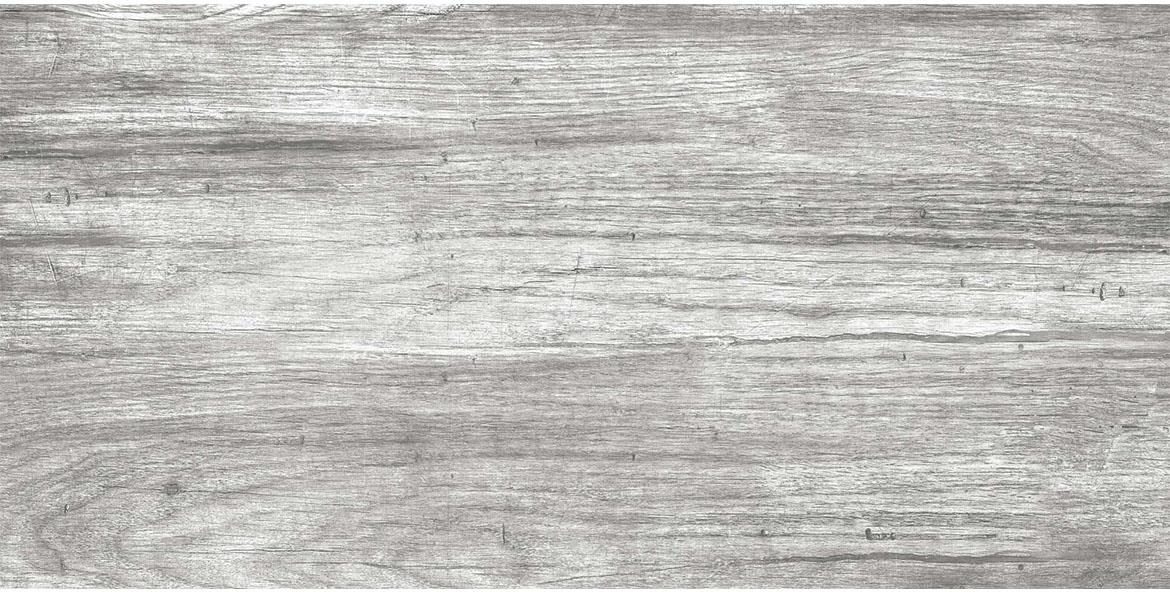 Plocica Gres Foresta grigio 30/60