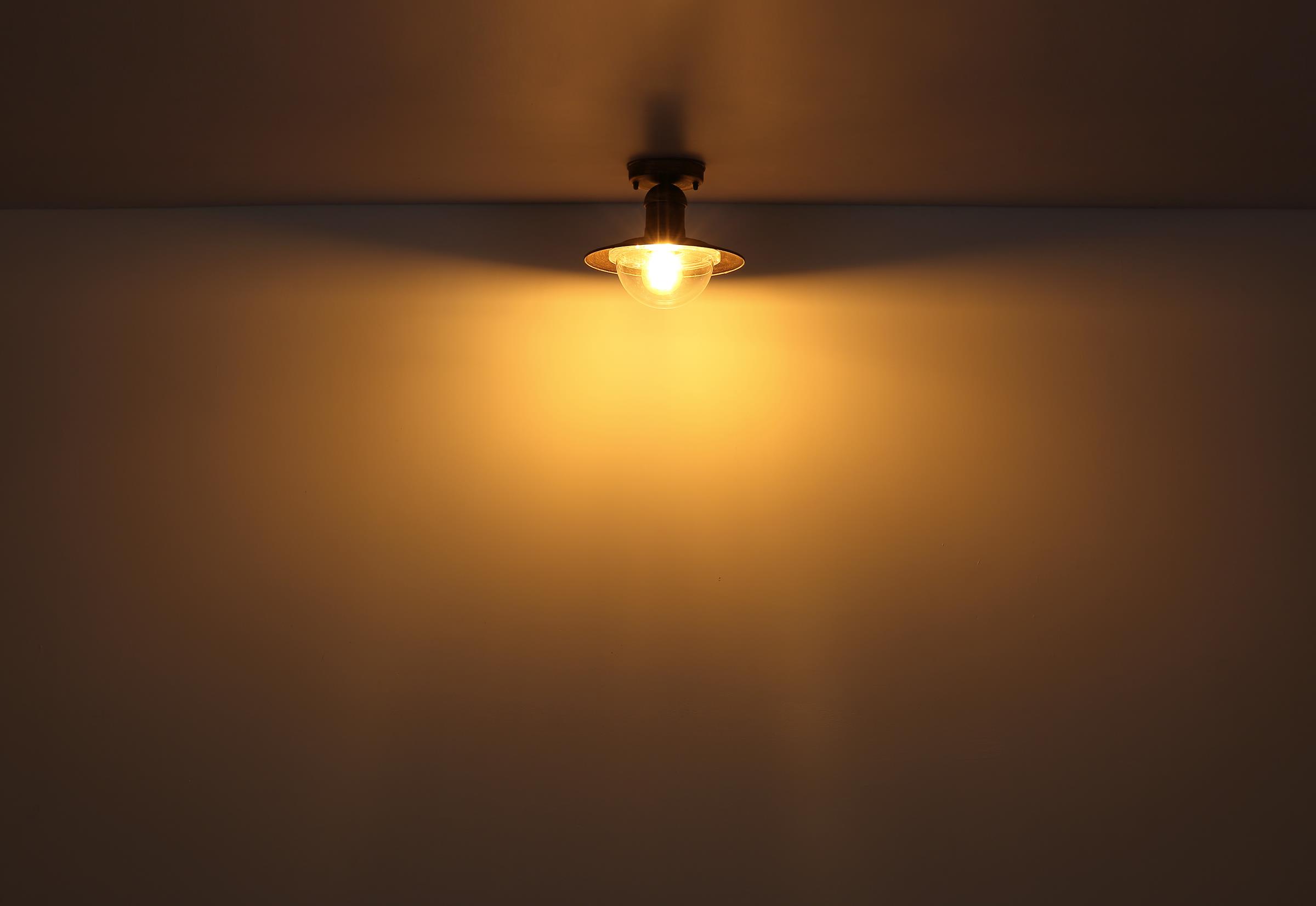Vanjska stropna svjetiljka Linda bijela