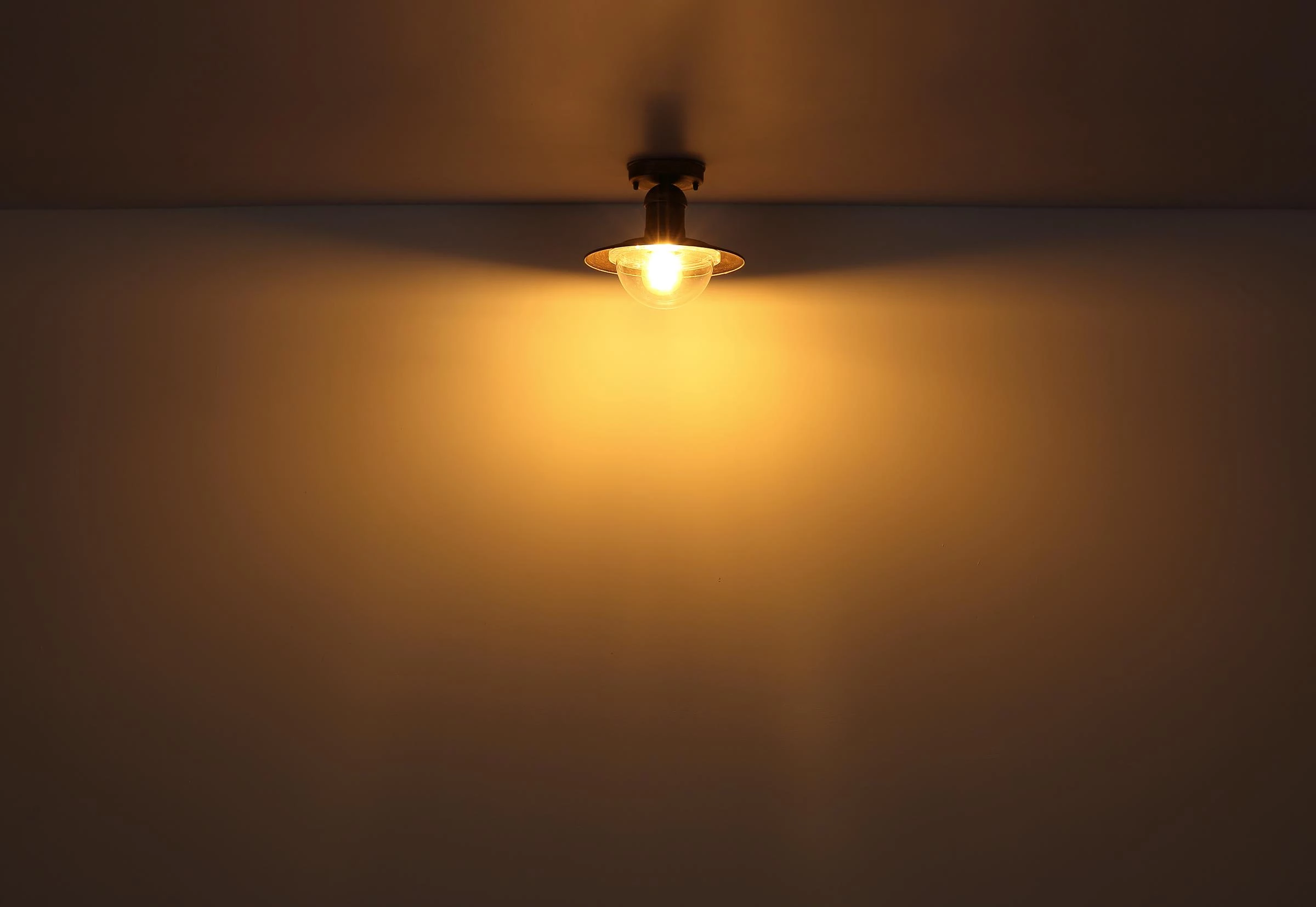 Vanjska stropna svjetiljka Linda bijela