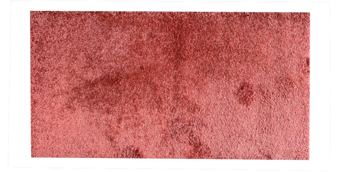Tepih Shaggy Enjoy 230x160cm