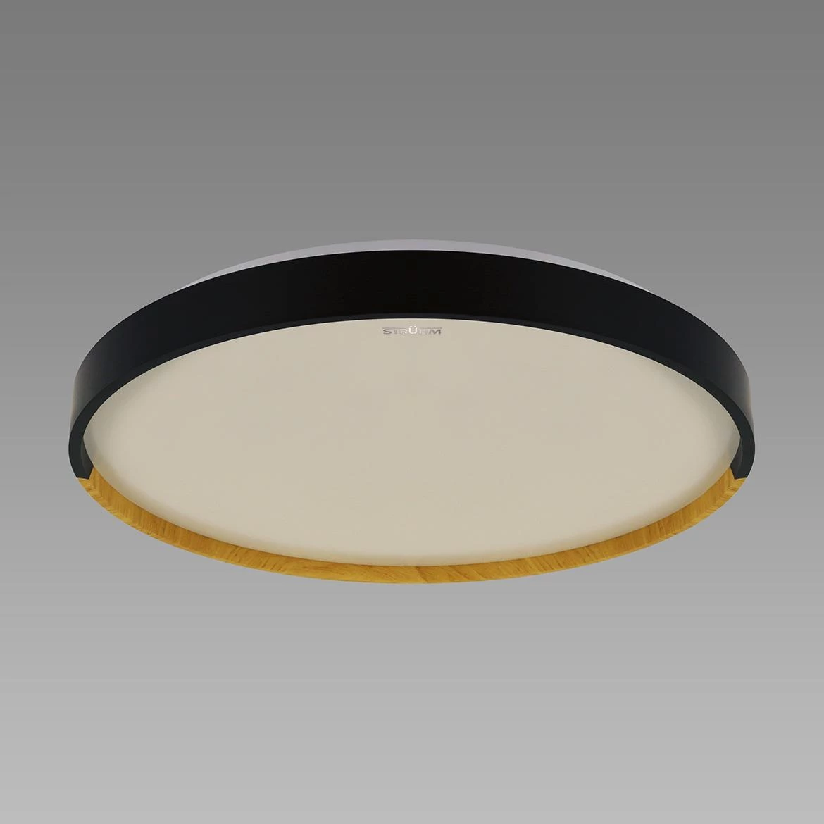 Plafonjera Farna LED crna 48W