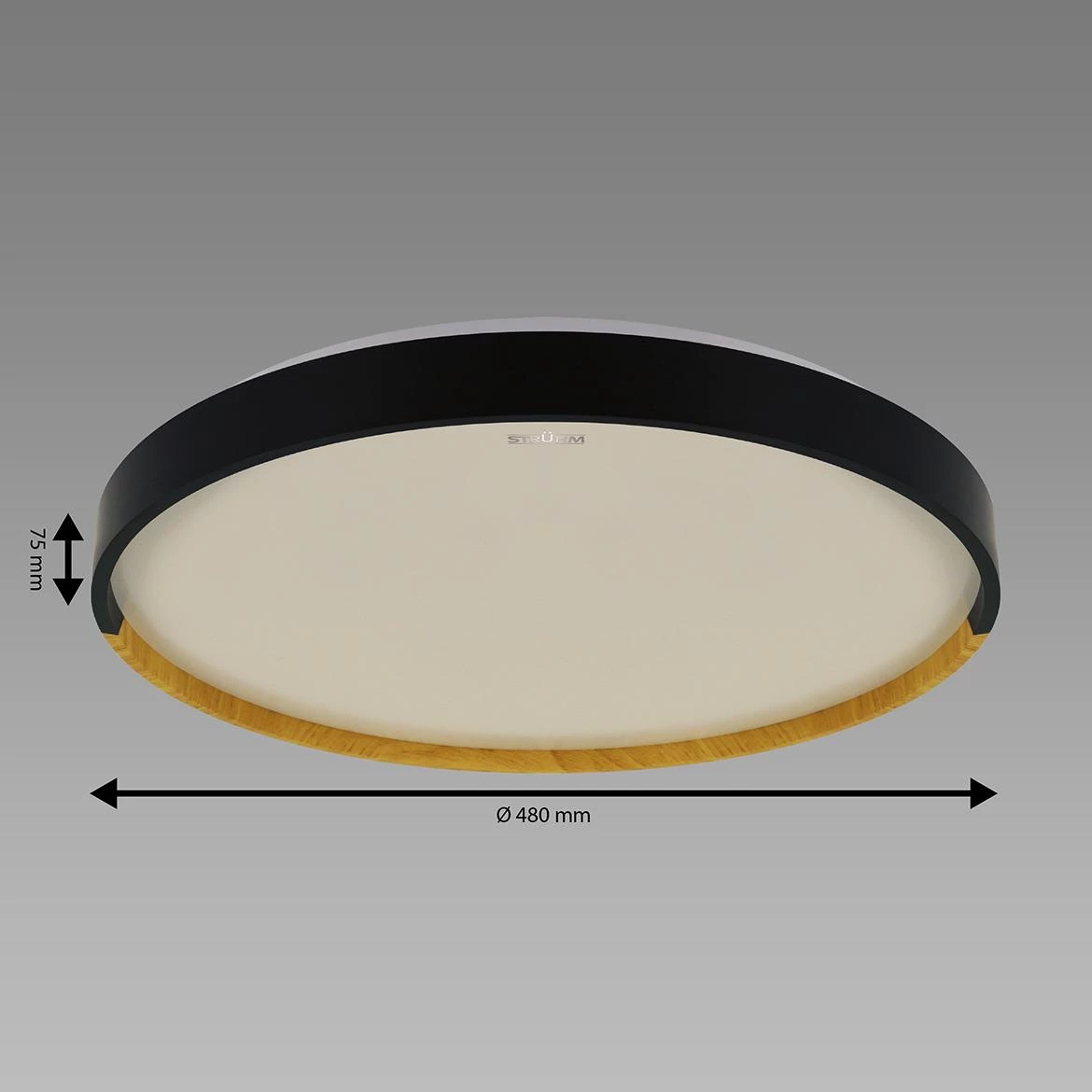 Plafonjera Farna LED crna 48W