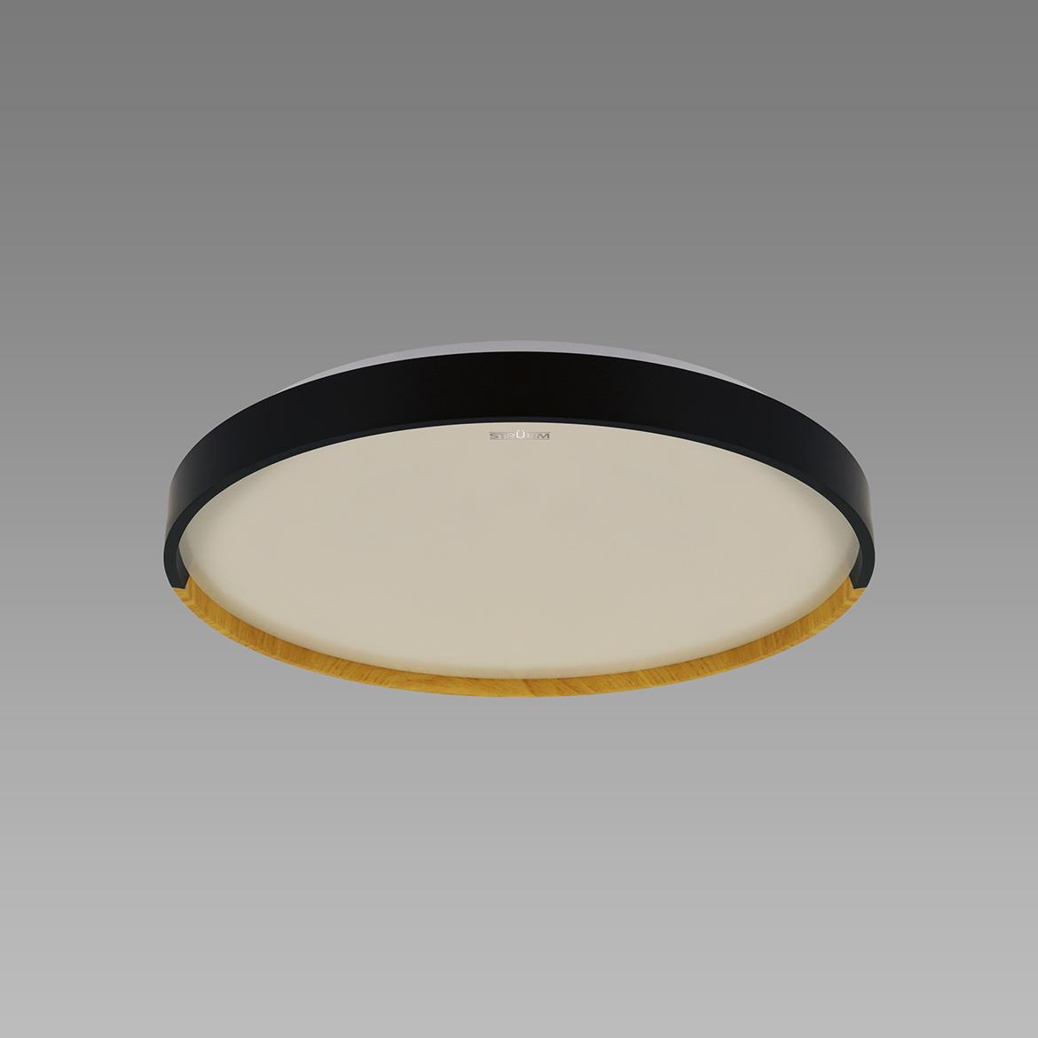 Plafonjera Farna LED crna 24W