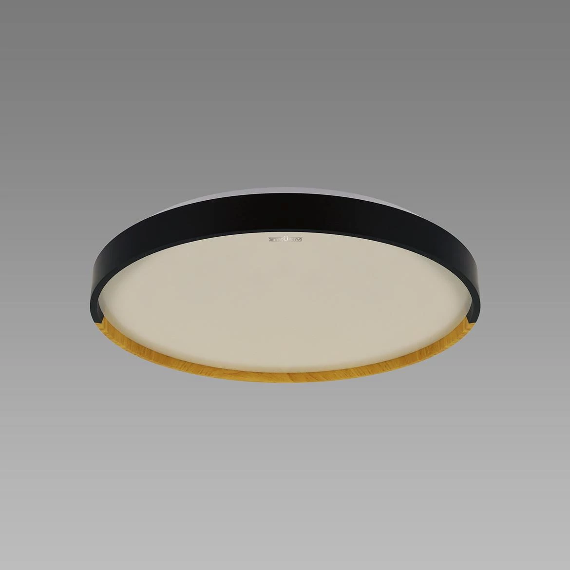 Plafonjera Farna LED crna 24W