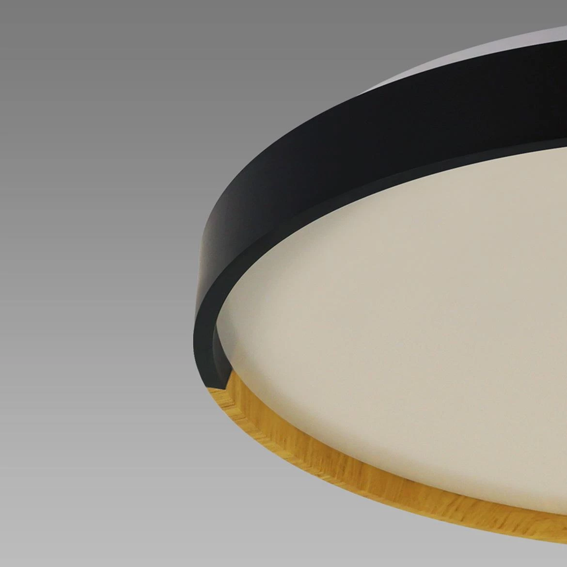 Plafonjera Farna LED crna 24W