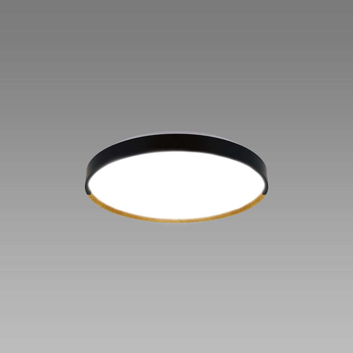 Plafonjera Farna LED crna 16W