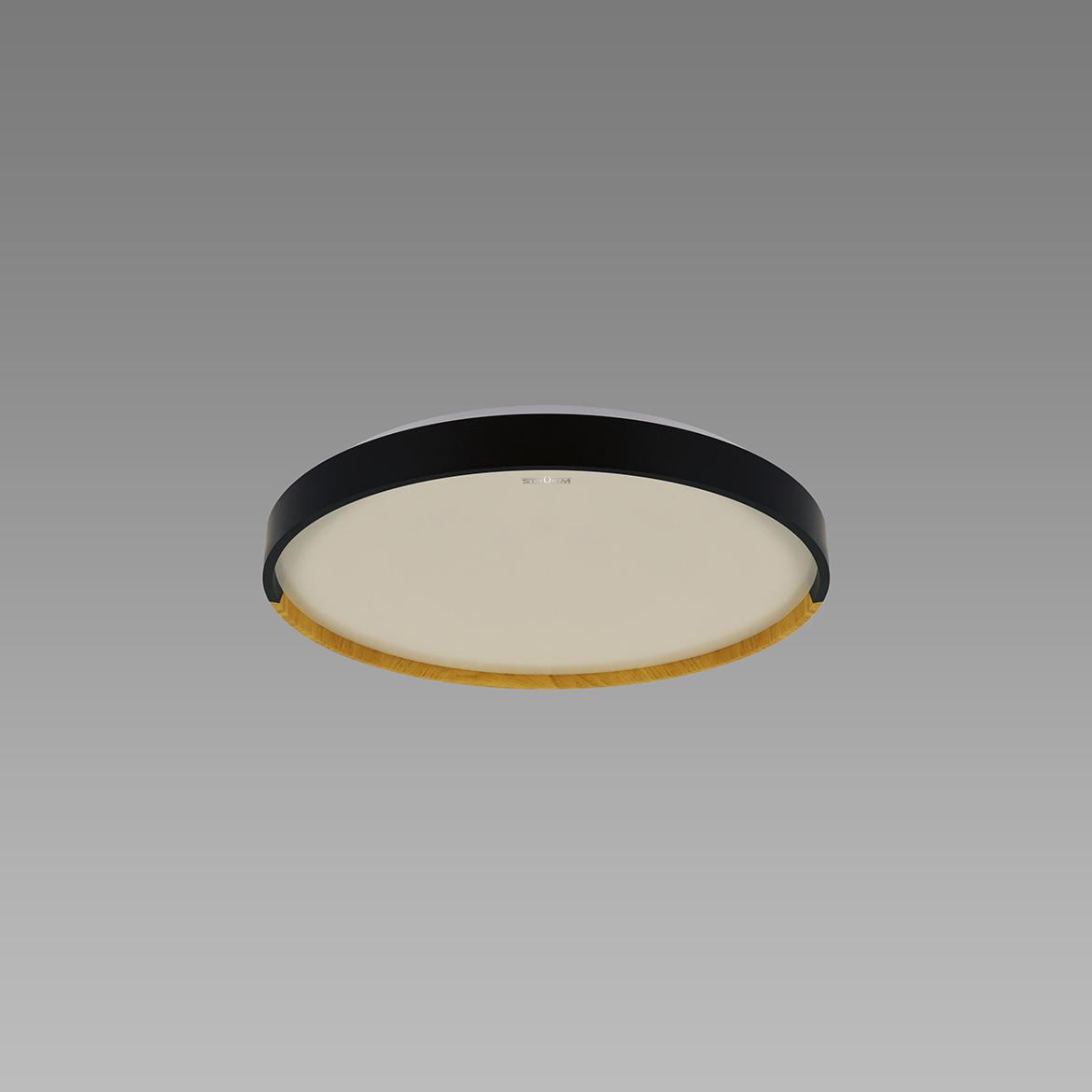 Plafonjera Farna LED crna 16W