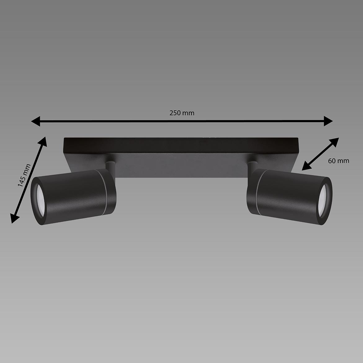 Stropna lampa Tenor 2 crna