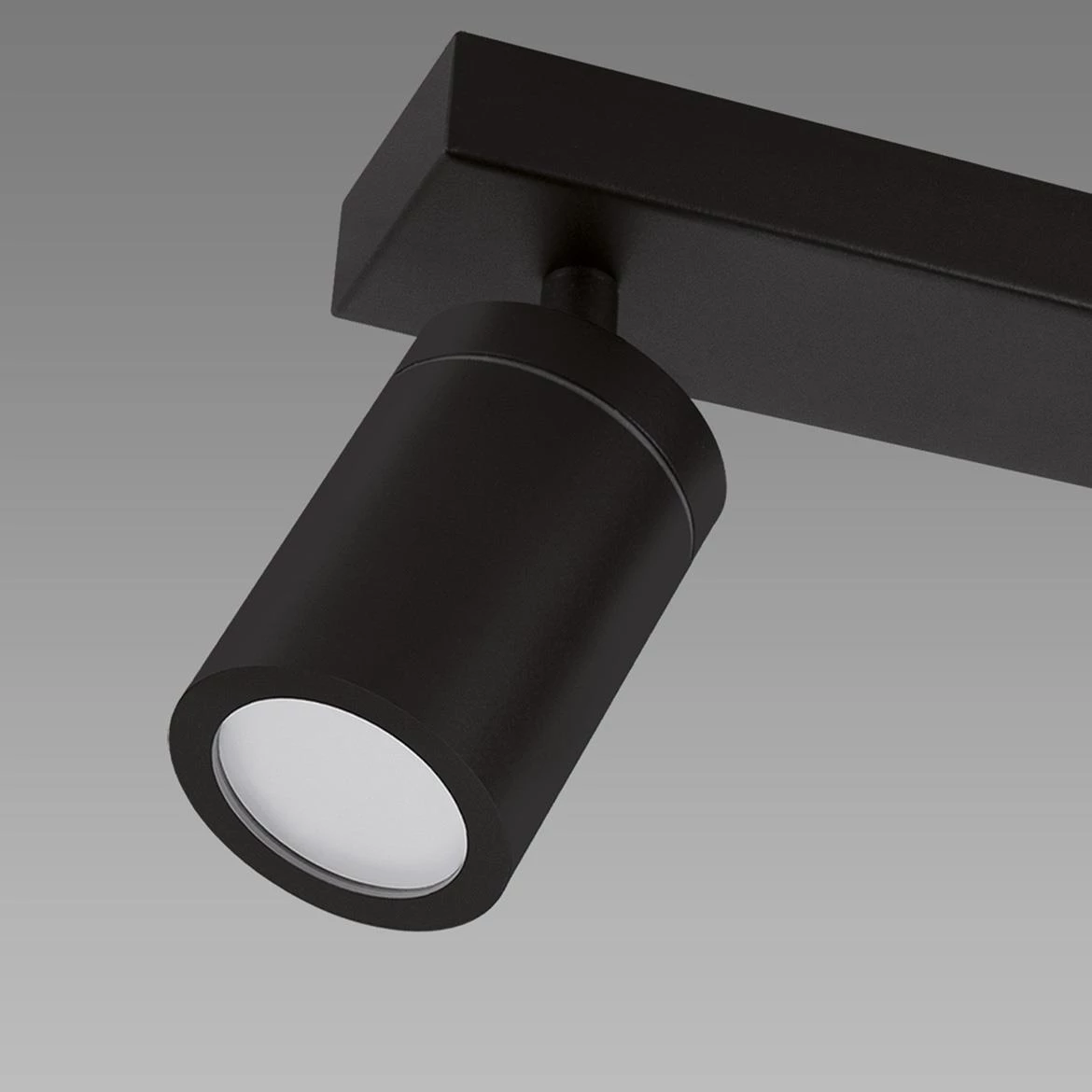 Stropna lampa Tenor 2 crna