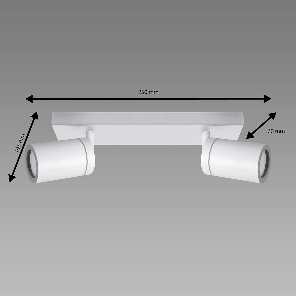 Stropna lampa Tenor 2 bela