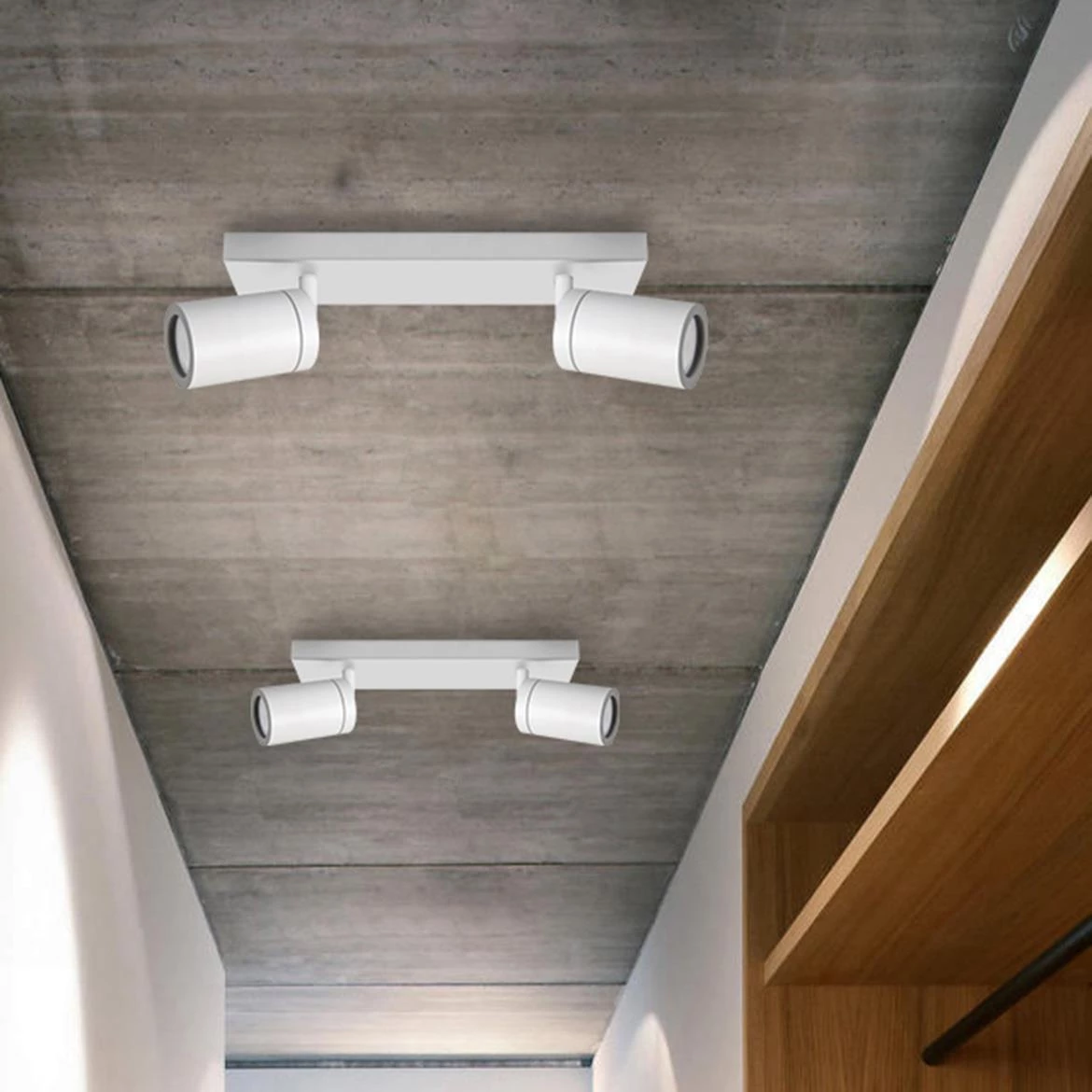 Stropna lampa Tenor 2 bela