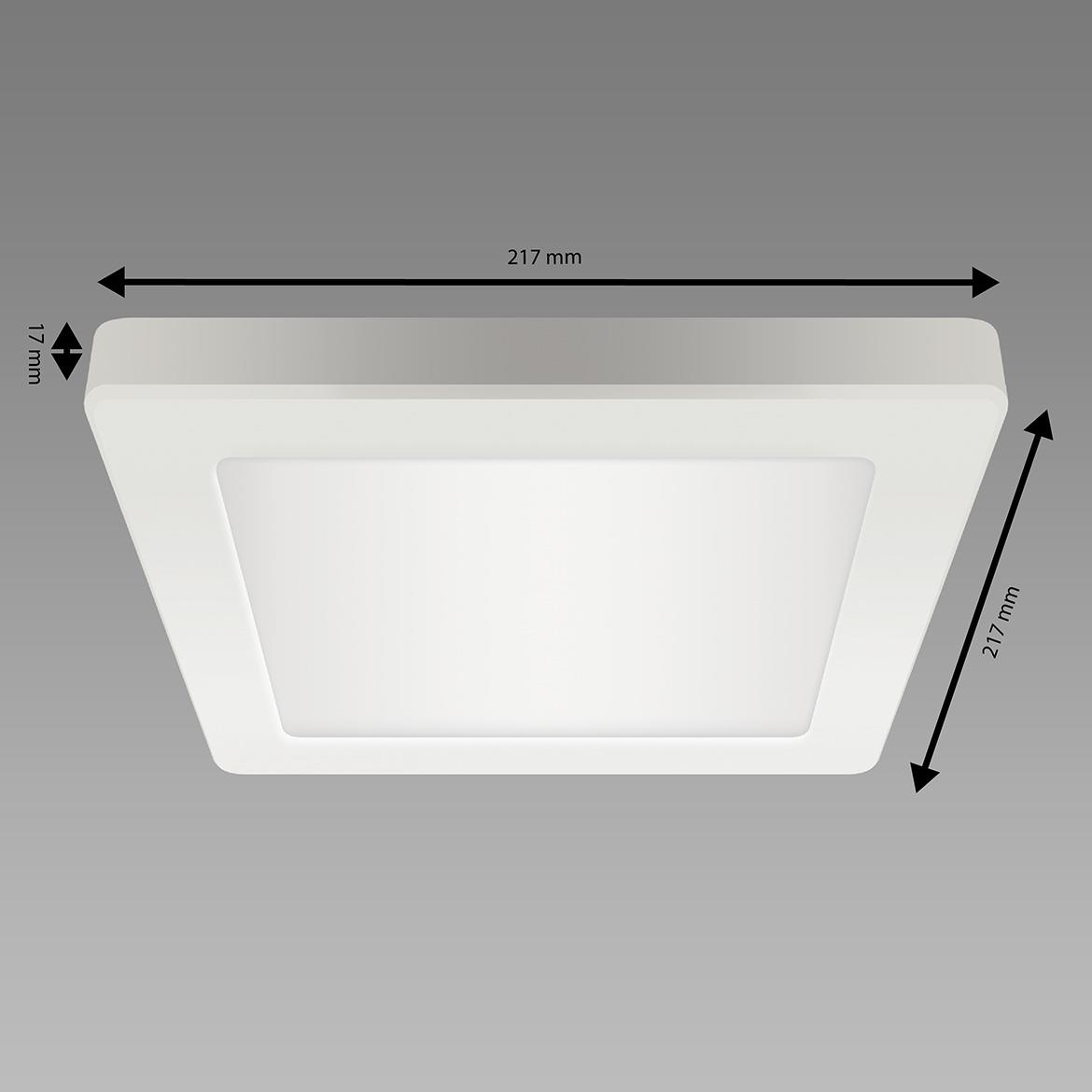 Plafonjera Olga LED 18W bela