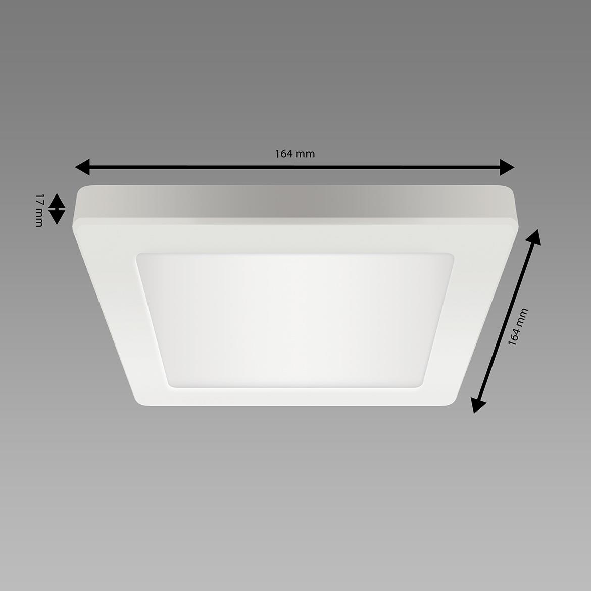 Plafonjera Olga LED 12W bela