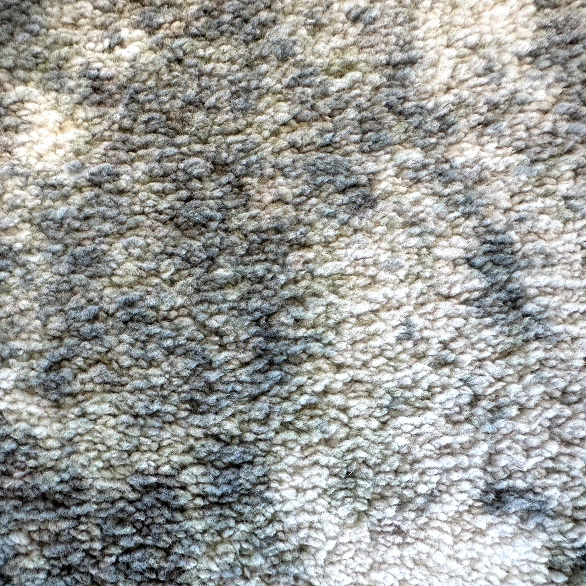 Tepih Epic Emory 160 x 230 cm