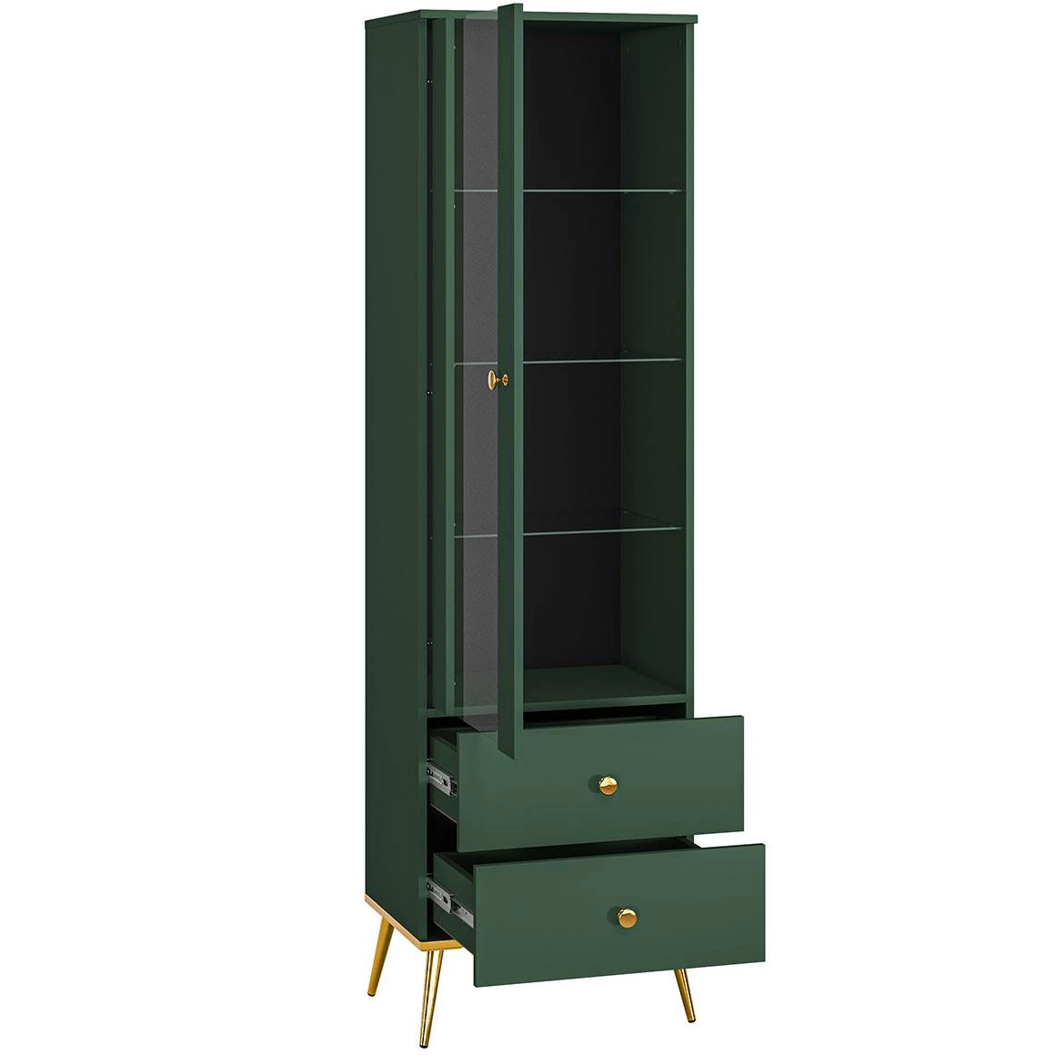 Forest 01 vitrina 1 vrata+2 fioke 55x40x190 cm zelena