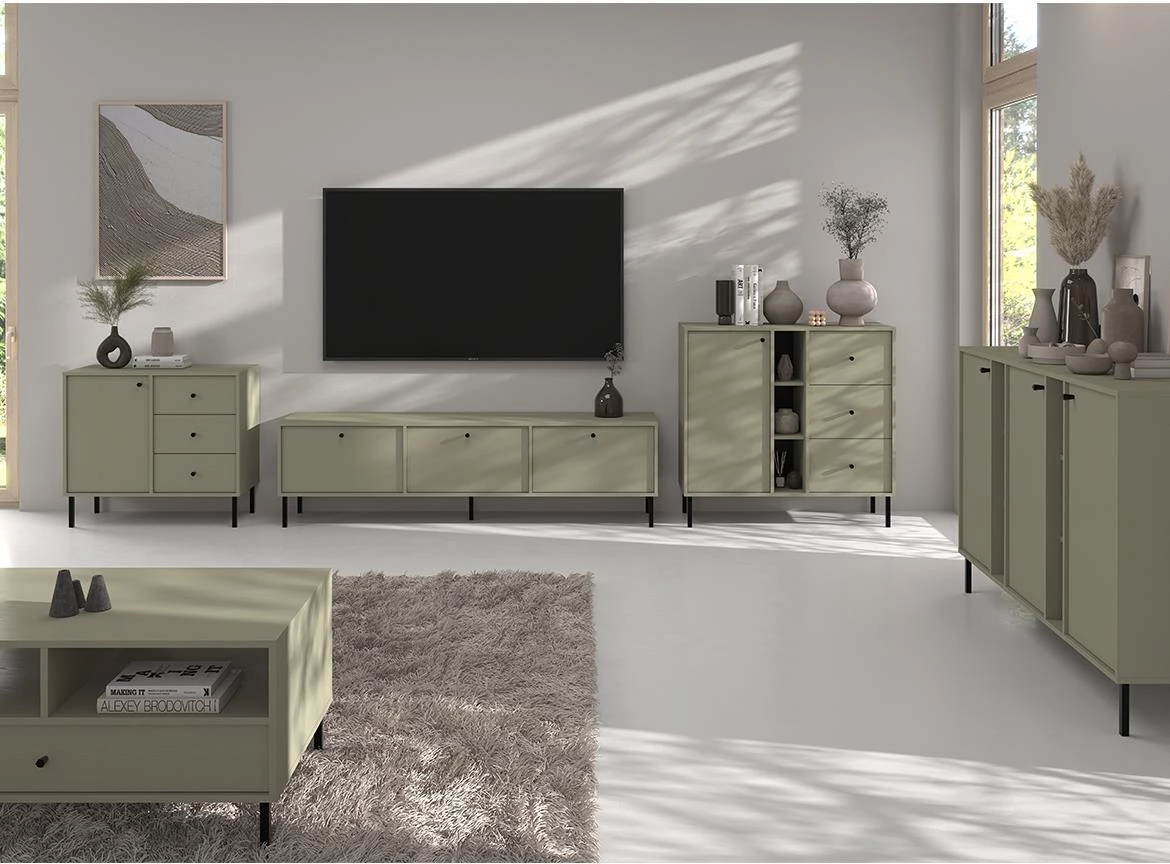 Tokyo 2 3K TV komoda 3vrata 180x40,8x50 eucaliptus 303