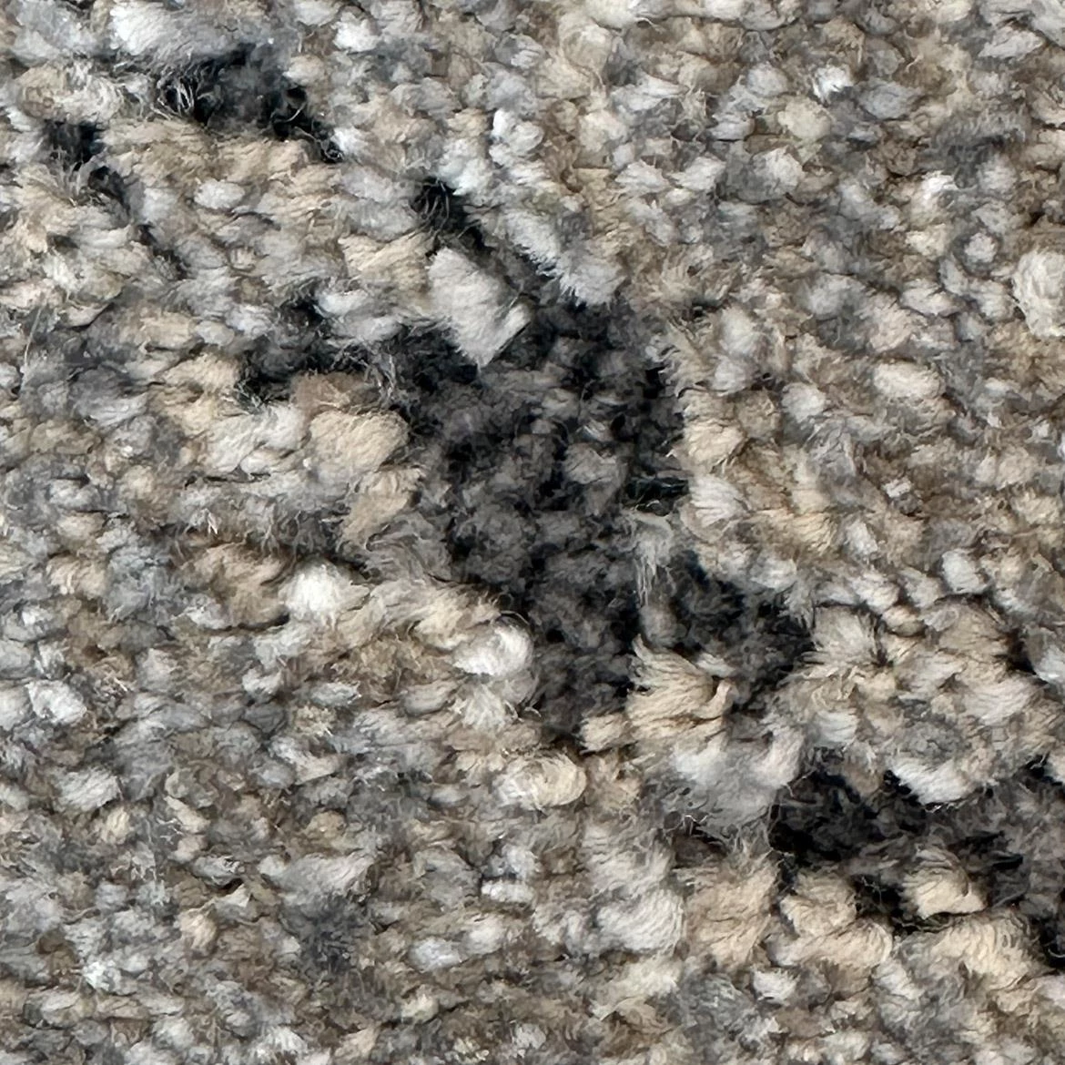 Tepih Cyrus Roly 160x230cm