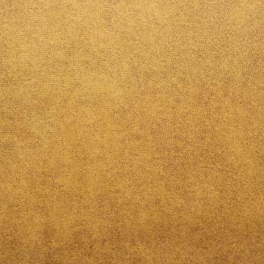 Luso Zetta 296 dvosed 170x86x95 cm boja mesa levi