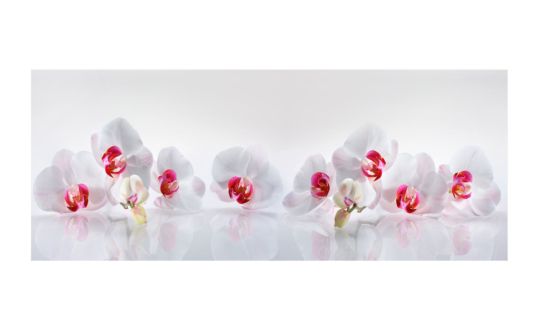 Slika na staklu Orchid 125x50cm