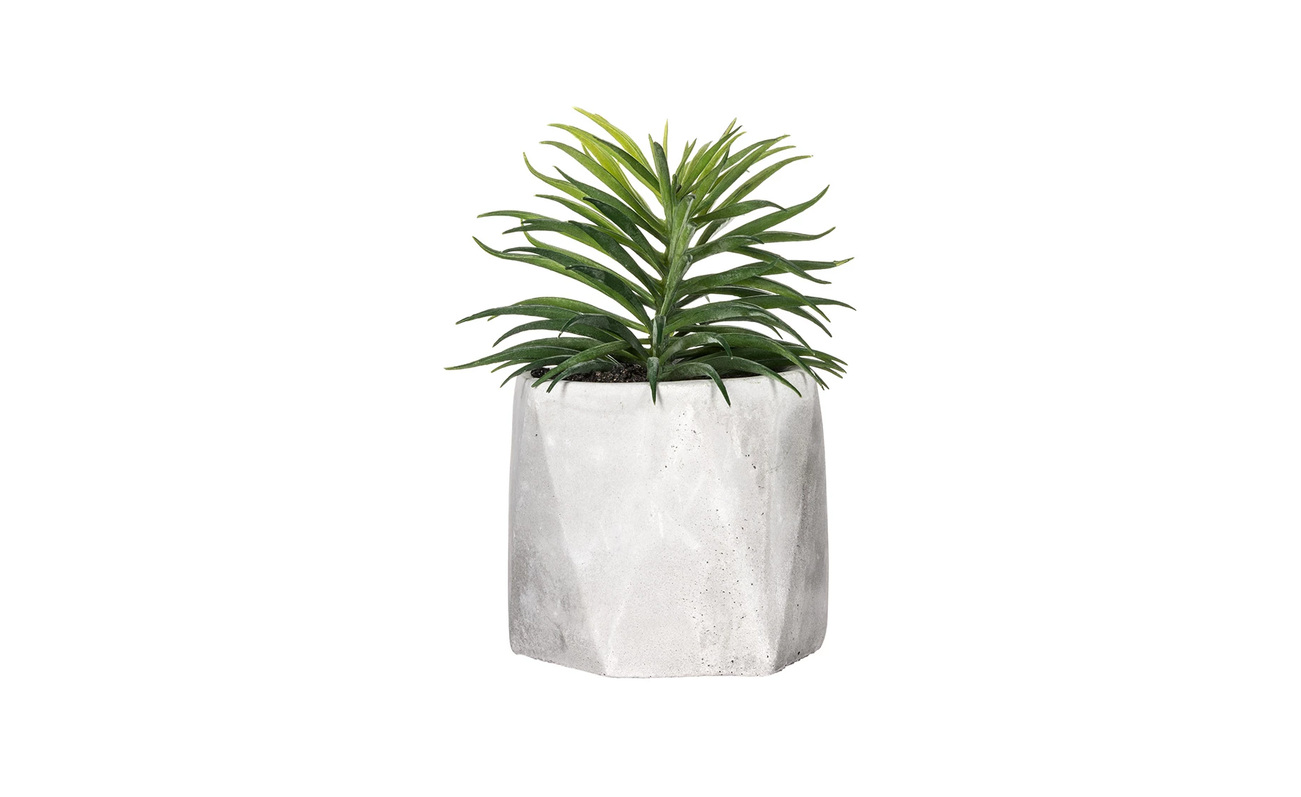 Sukulent u teglici H14cm, više vrsta
