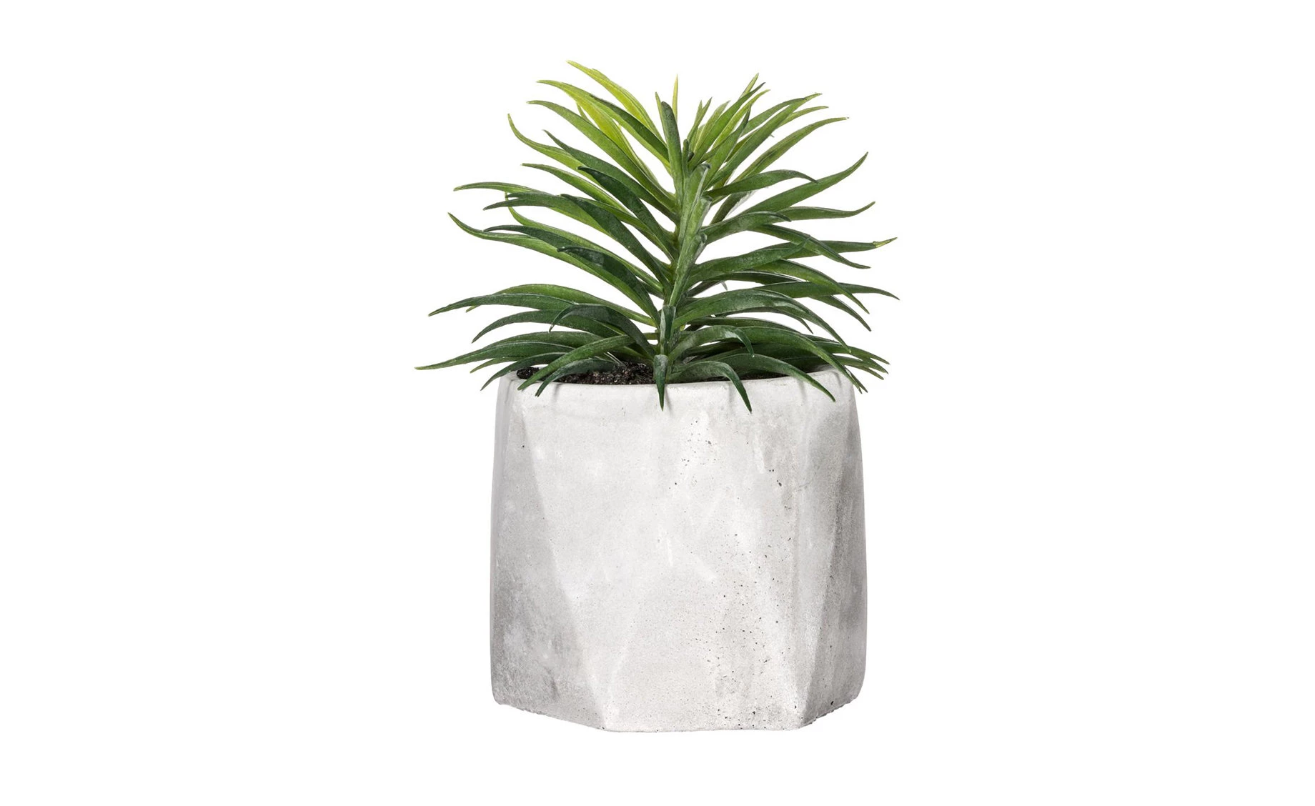 Sukulent u teglici H14cm, više vrsta