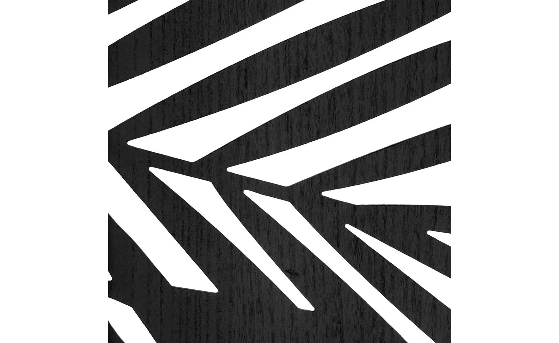 Paravan Tribe 120x1,8x170cm crni