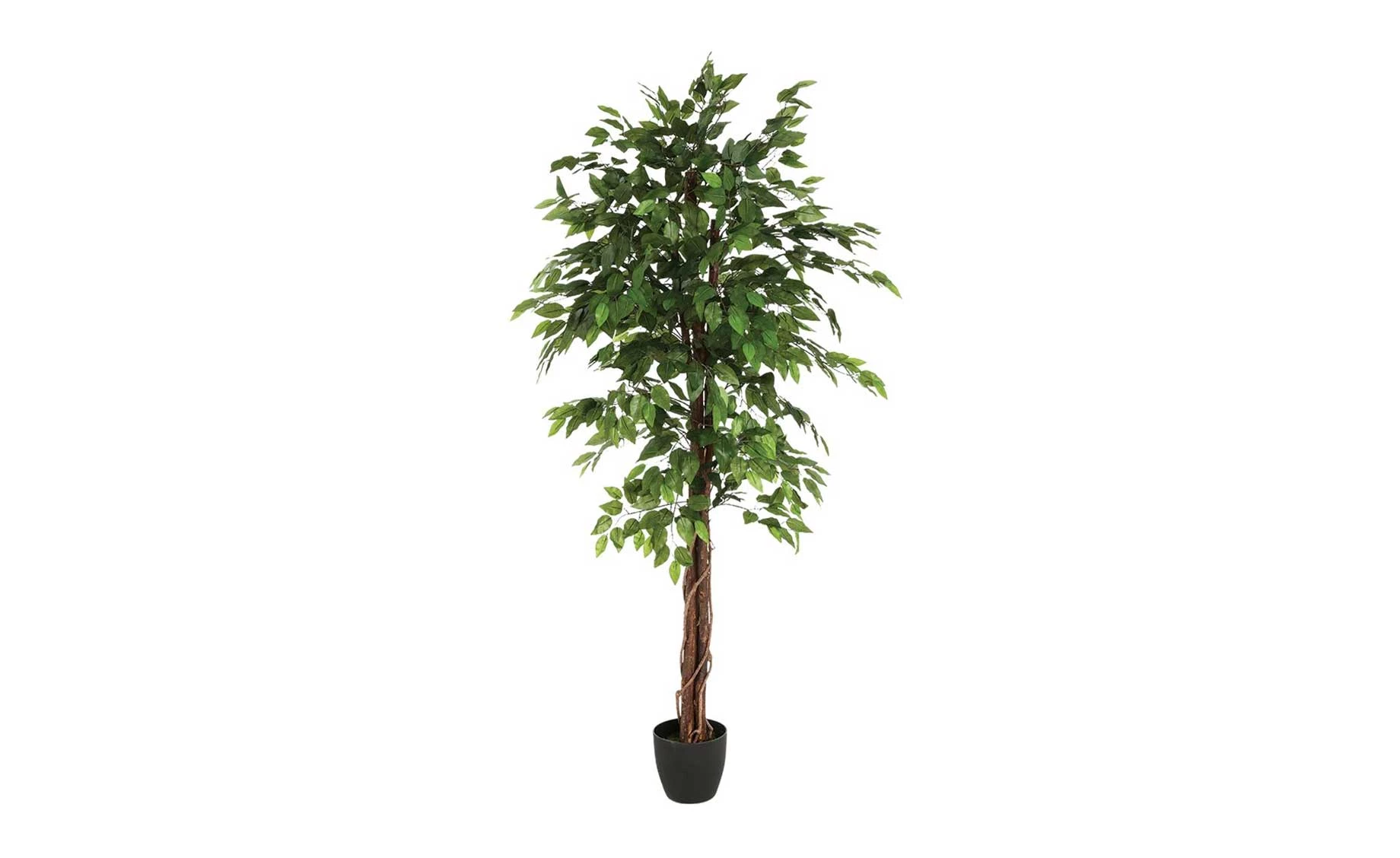 Biljka u saksiji 180cm