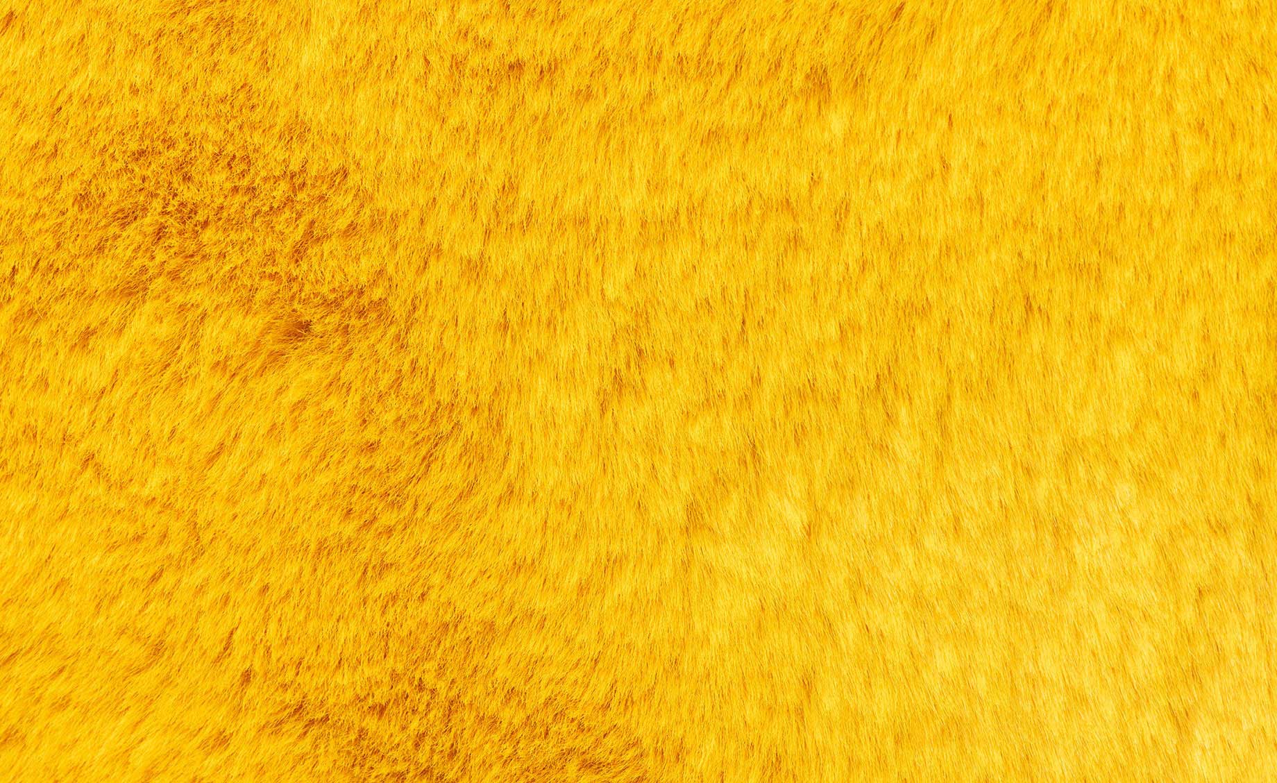 Tepih Emily 120x170cm žuti