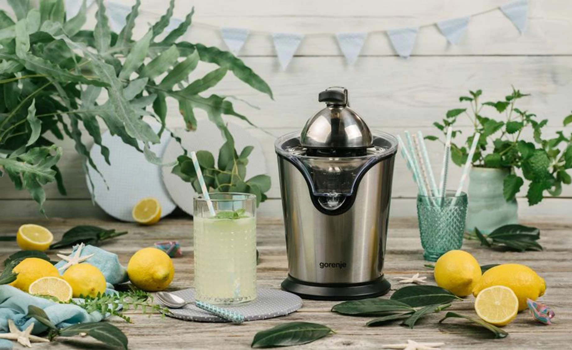 Gorenje CJ100HE citruseta