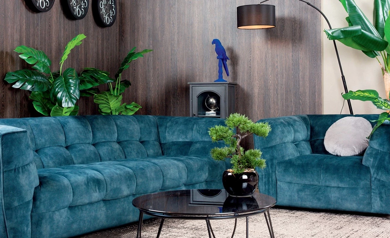 Biljka u saksiji Bonsai 26cm