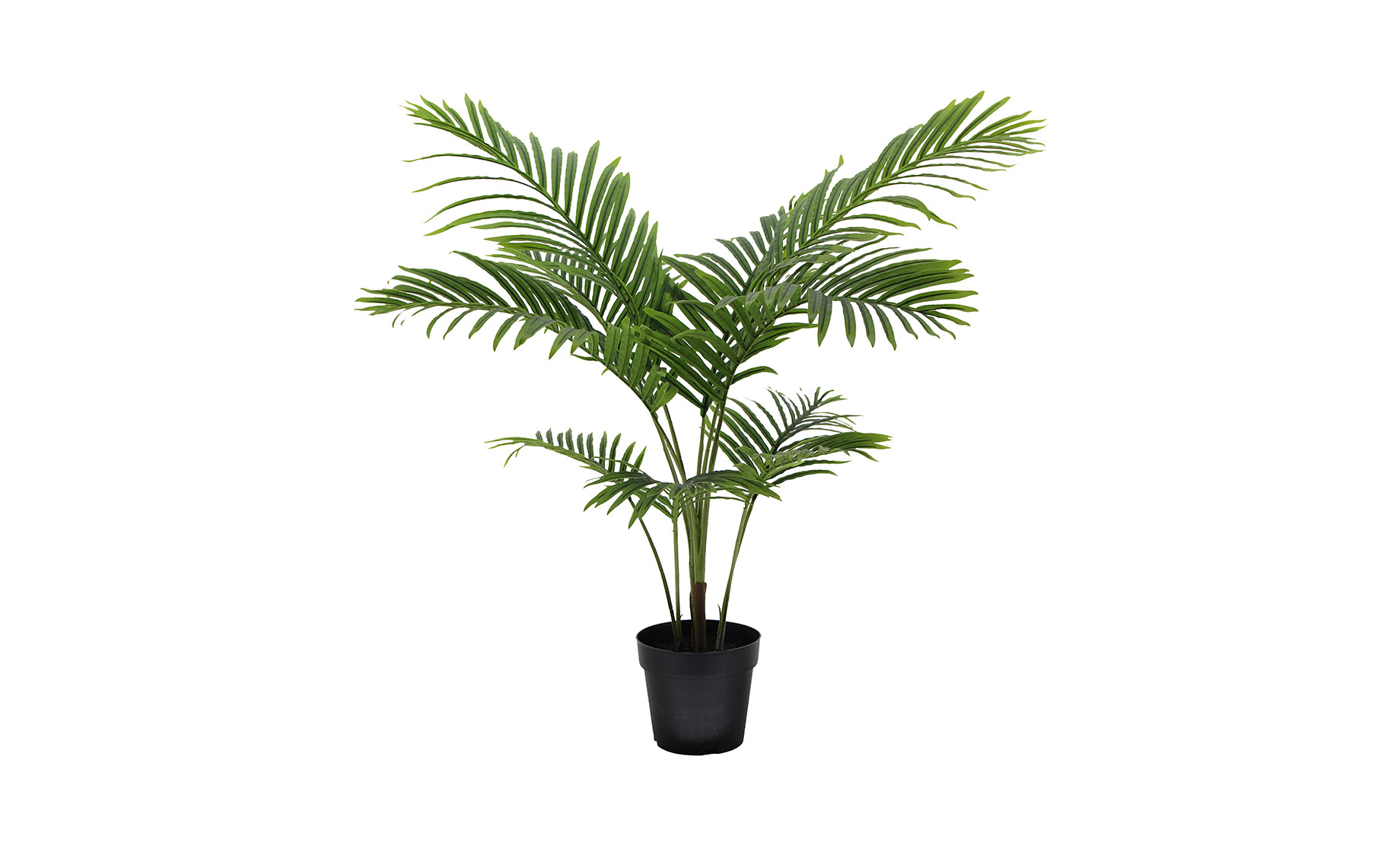 Biljka u posudi Palm Tree 85cm