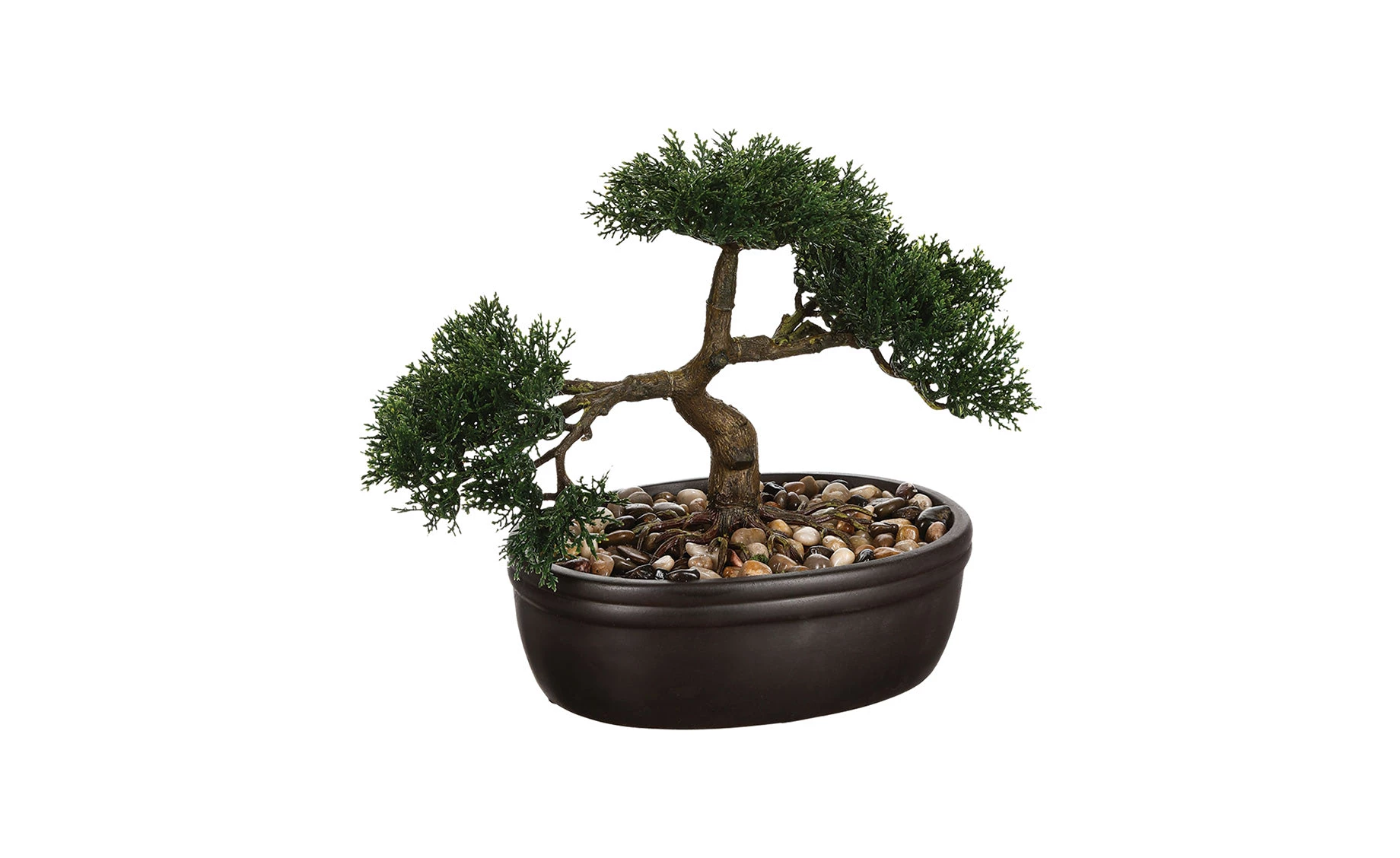 Biljka u saksiji Bonsai 23cm