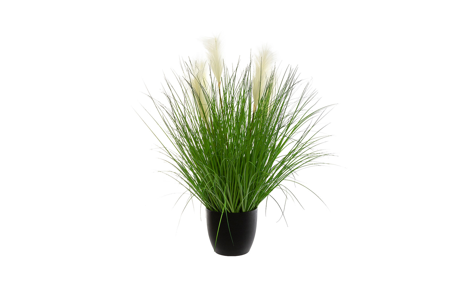 Biljka u posudi Grass 90cm