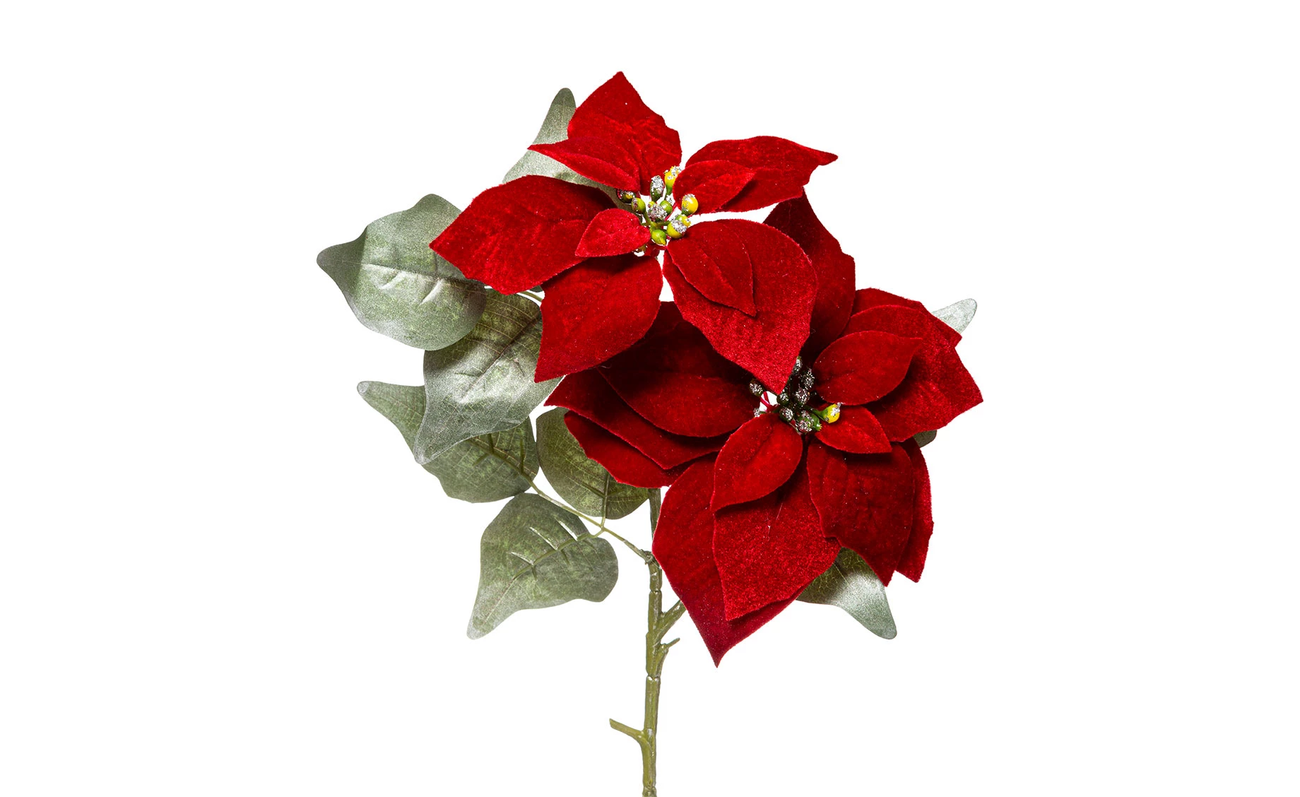 Cvet Poinsettila 76cm crveni