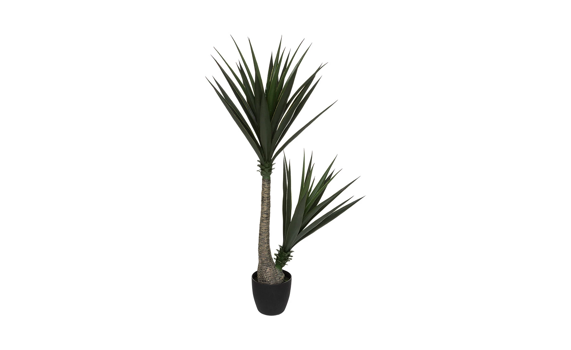Biljka u posudi Yucca 130cm