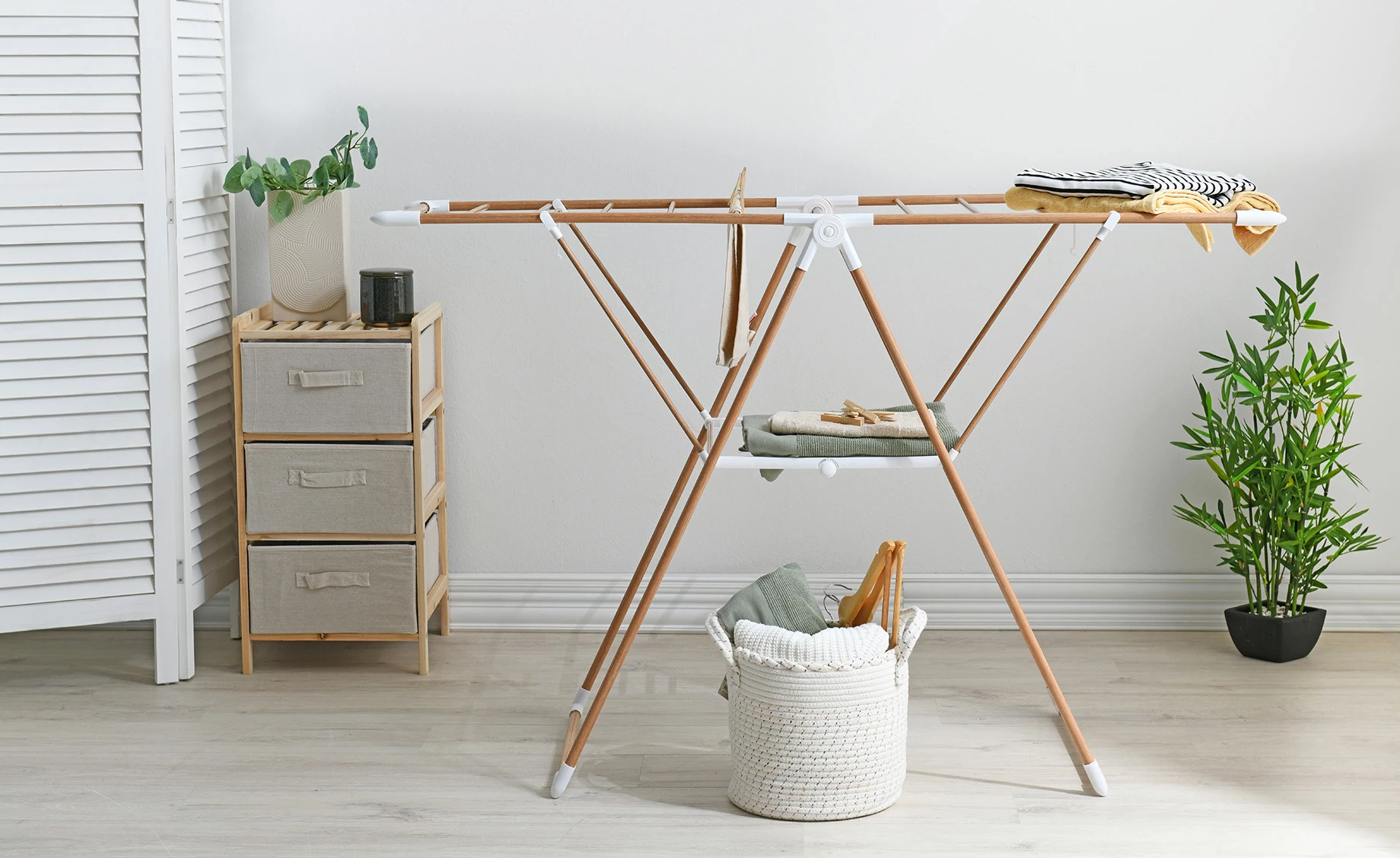 Biljka u saksiji Bamboo 70cm