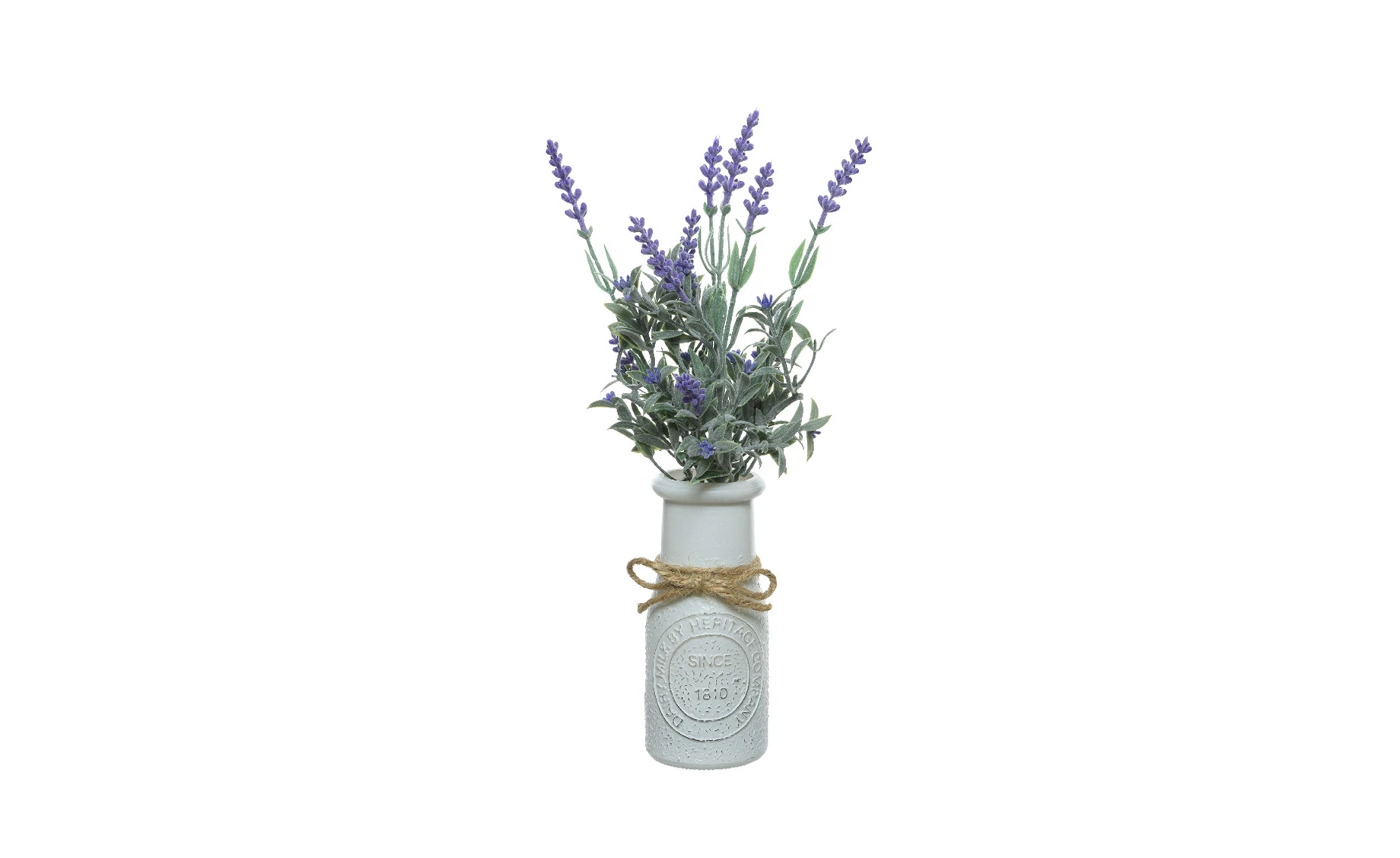 Biljka u posudi Lavander 13x32cm više vrsta