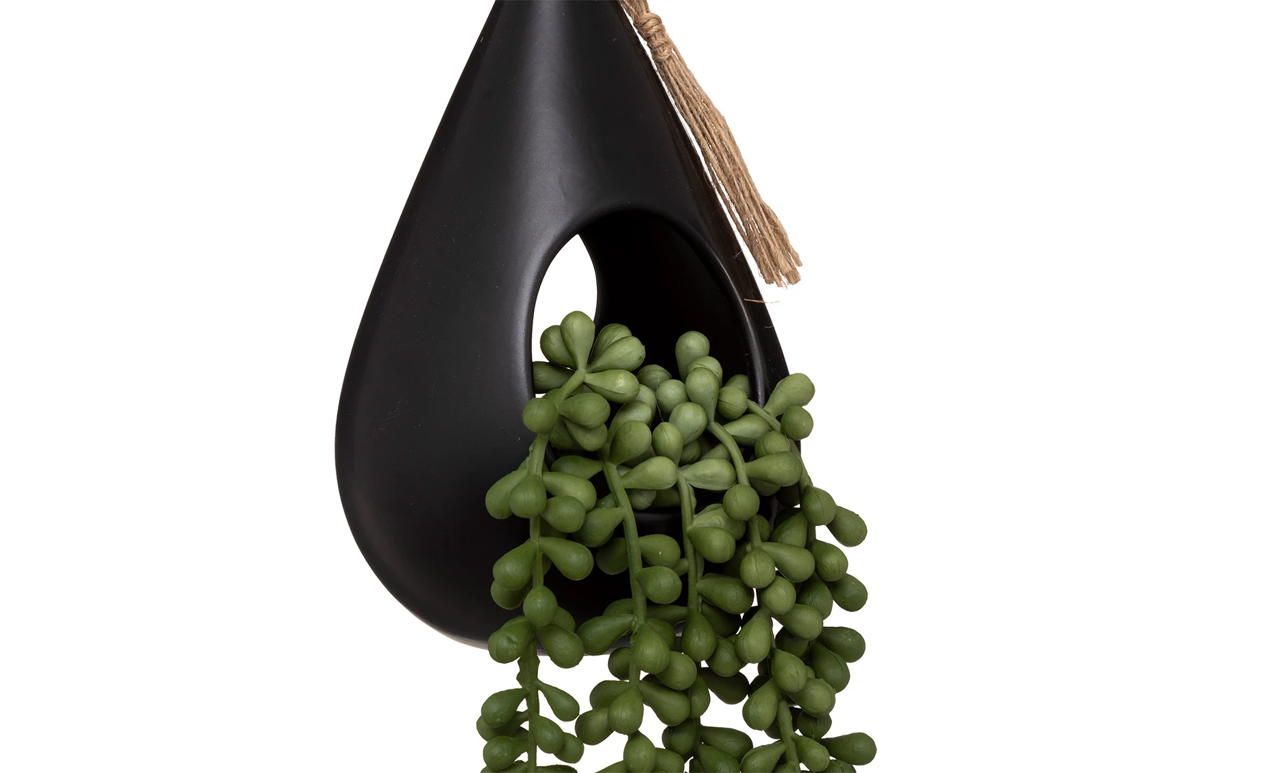 Biljka u saksiji Skylar 12x50cm