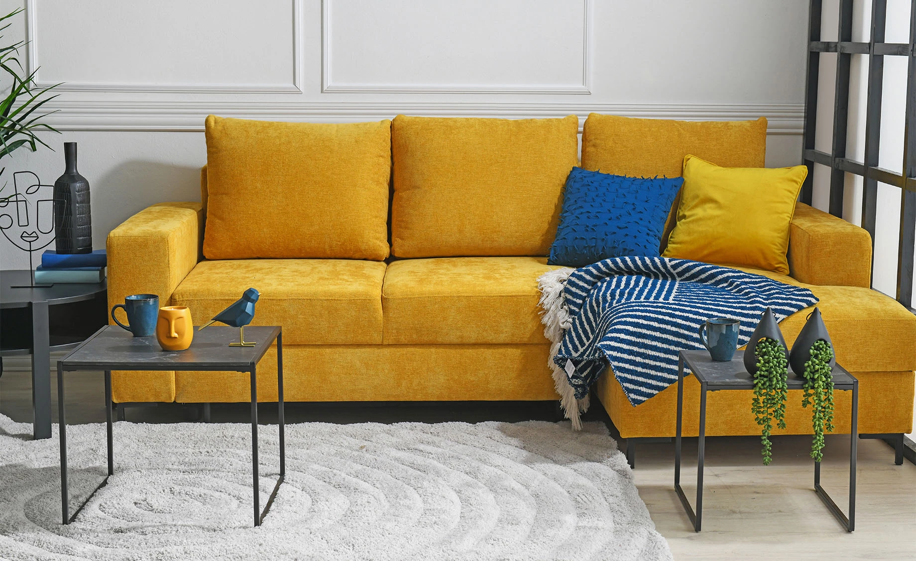 Biljka u saksiji Skylar 12x50cm