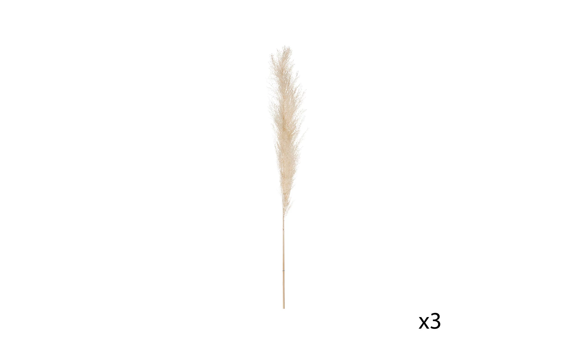 Dekorativna grana Pampas H109cm