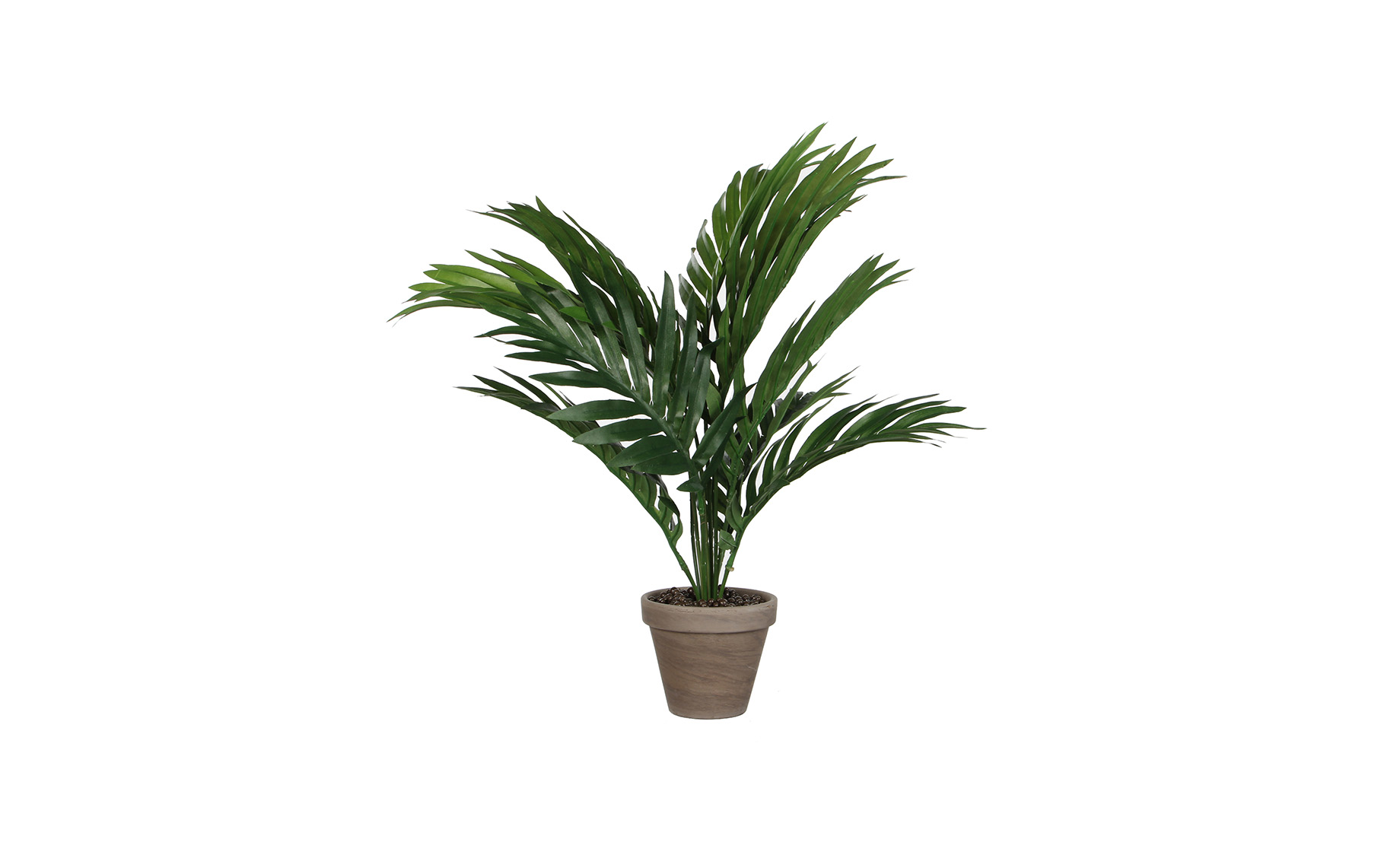 Biljka u posudi Areca 45x60cm