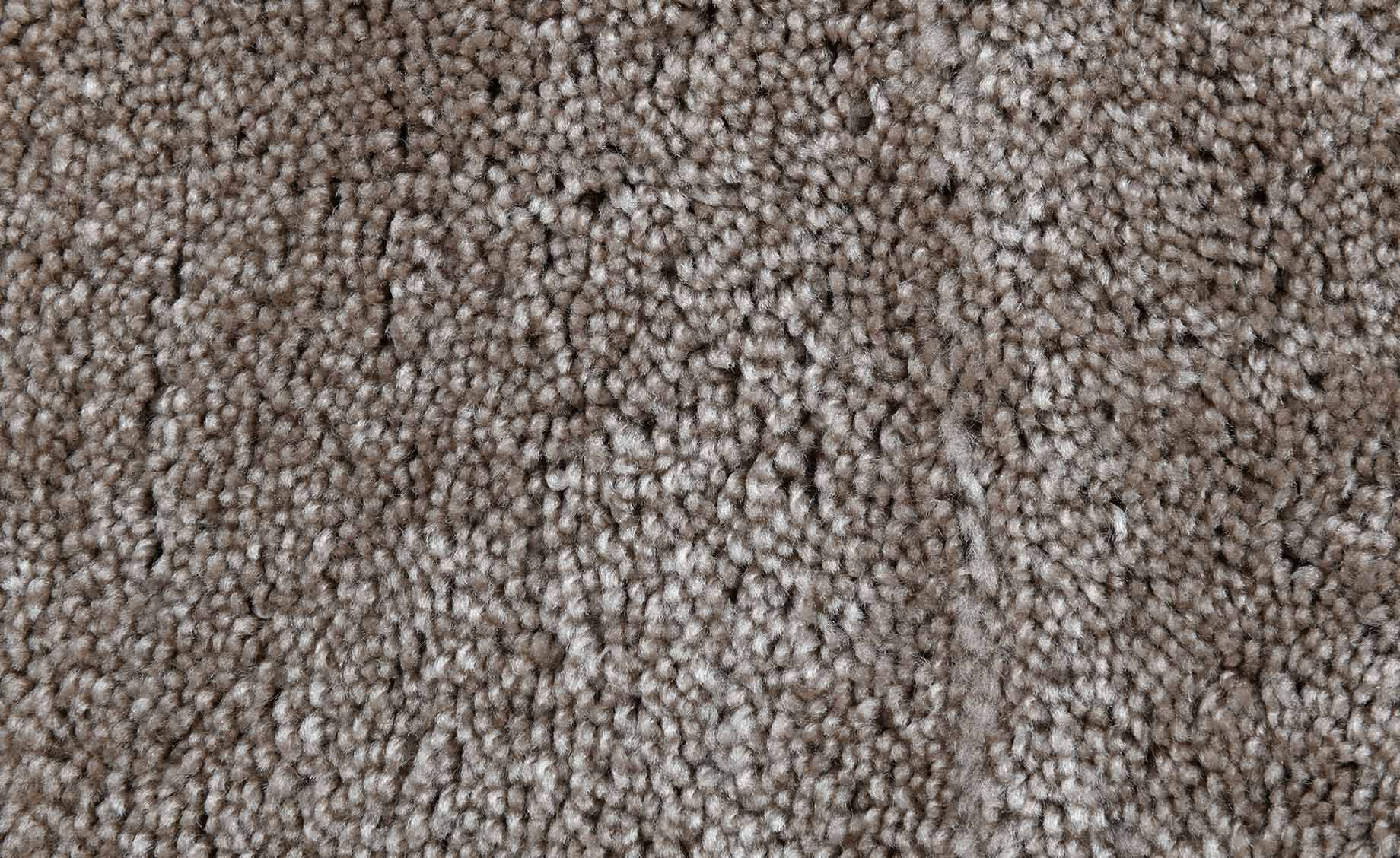 Tepih Shell Shaggy 160x230cm bež
