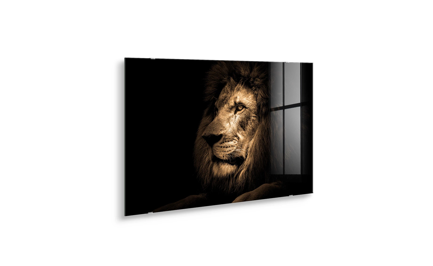 Slika staklo  Lion 70x100cm